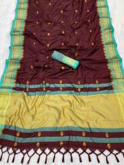 PSW  STAR PAITHANI